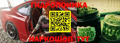 шишки Рыбинск