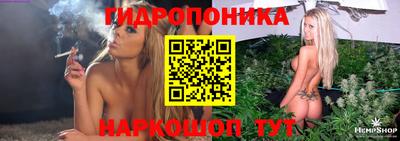 шишки Рыбинск