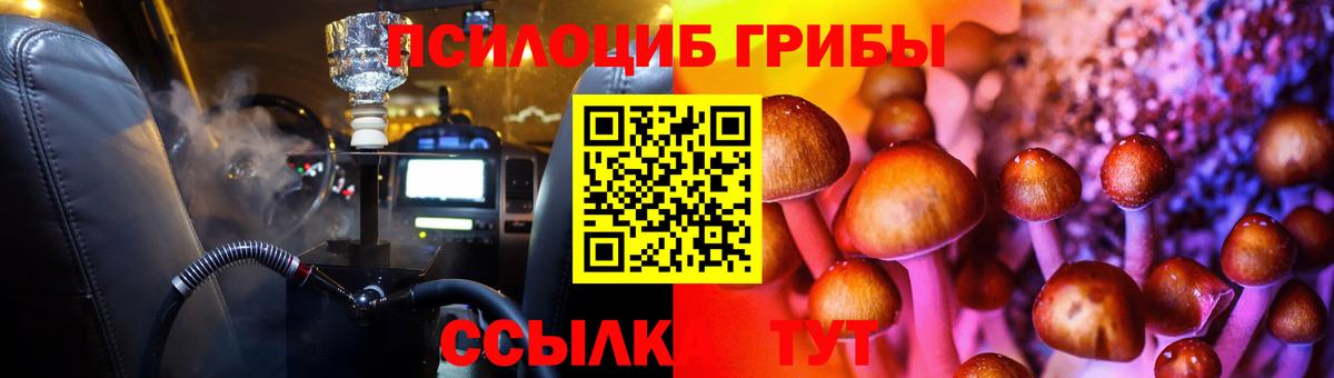 Псилоцибиновые грибы Psilocybine cubensis Реутов